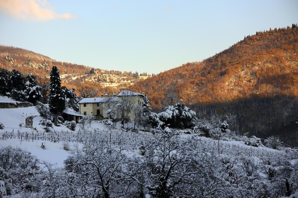 Tenuta Dei Cavalieri Molino del Piano Bagian luar foto