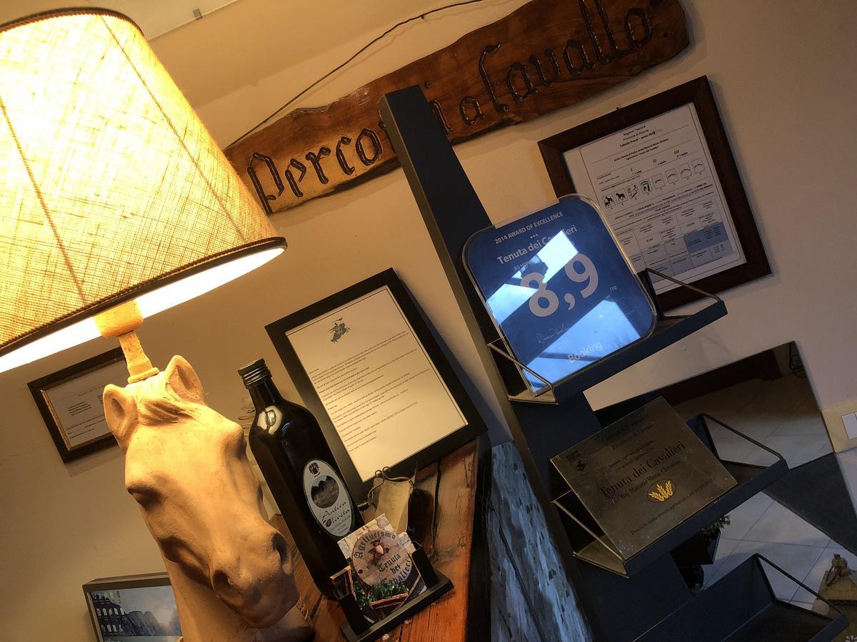 Tenuta Dei Cavalieri Molino del Piano Bagian luar foto